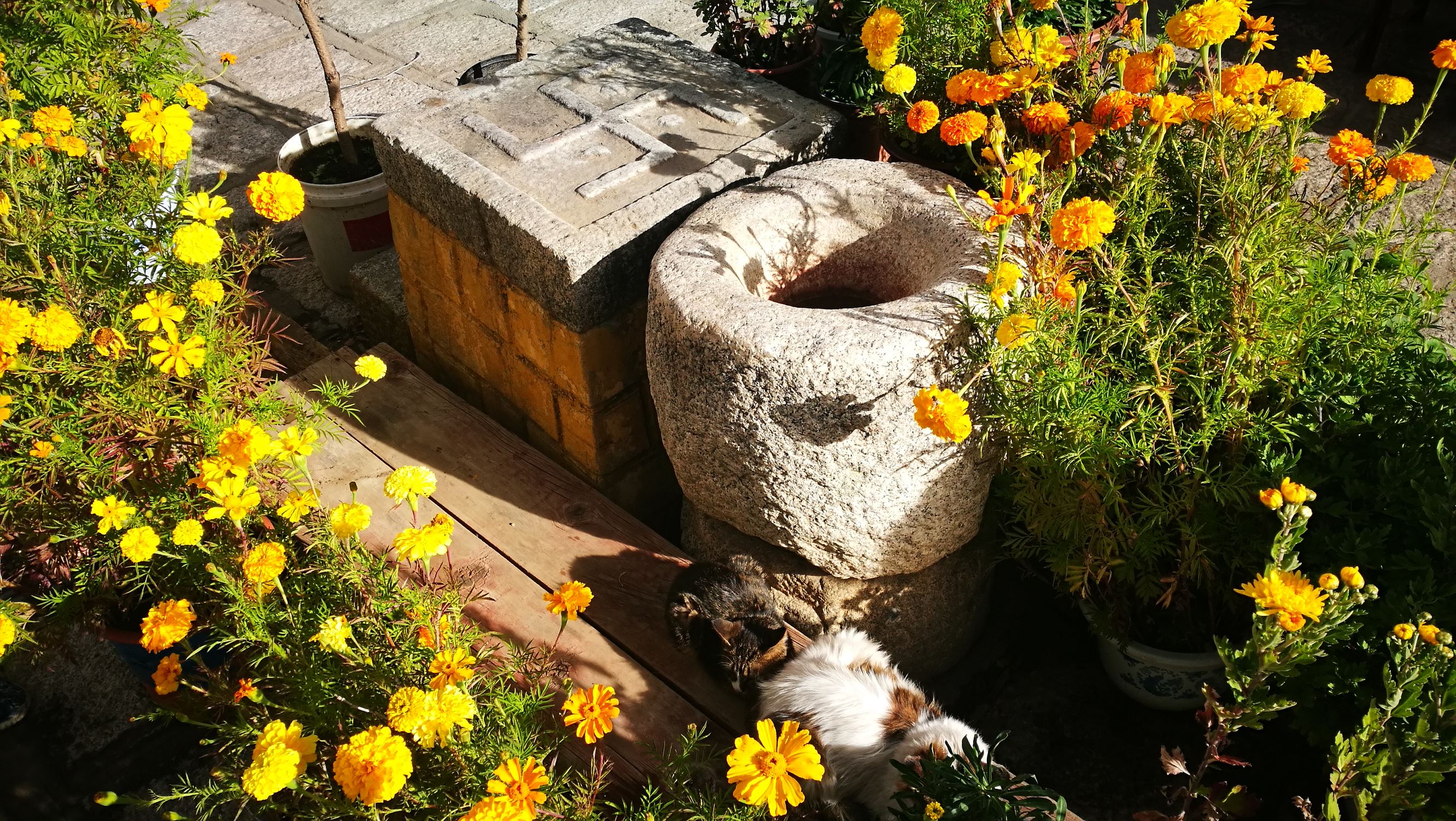 阿底峡尊者随身佛塔,阿底峡尊者藏语