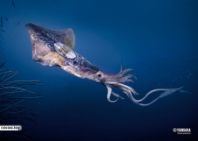 难缠客户的投诉方法,客服应对难缠的客户