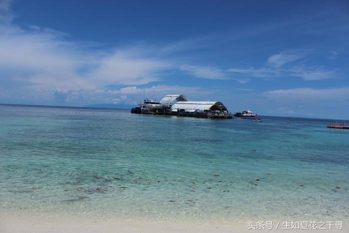 去兰卡威红树林,去兰卡威怎么玩