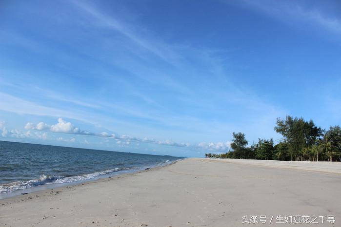 去兰卡威红树林,去兰卡威怎么玩