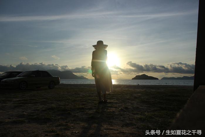 去兰卡威红树林,去兰卡威怎么玩