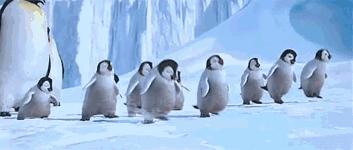 东北极寒之旅旅游攻略 (去东北看雪自由行攻略)