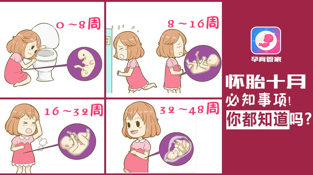 怀孕了宝宝踢肚子疼怎么办,怀孕八个月流产肚子被踢