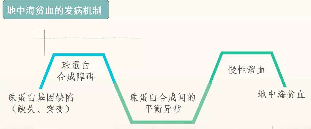 孕期地中海贫血症状和危害,地中海贫血怎样补充营养