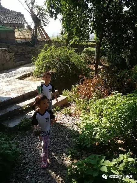 开着房车去遛娃,开着房车带狗狗出去玩