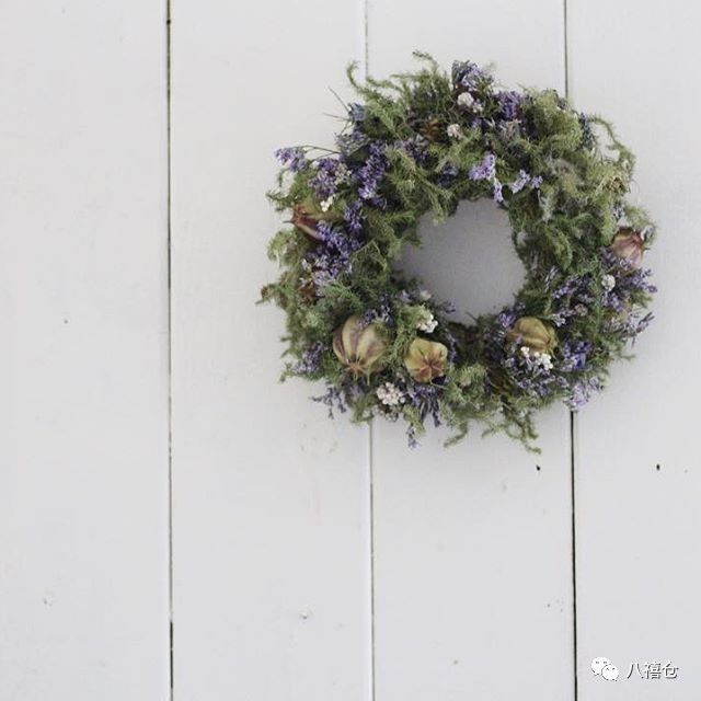 干花的颜色和品种,干花的形态分类