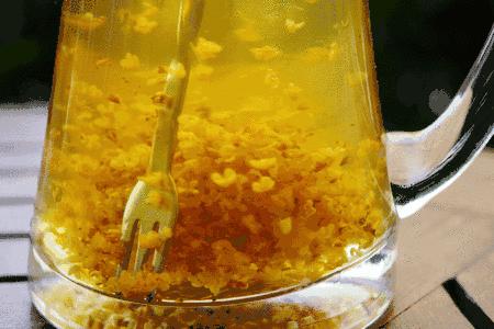 伴着秋意，来圆石の茶享受一杯新品的时光！