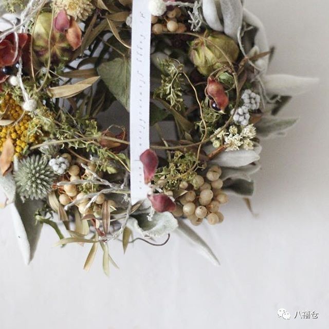 干花的颜色和品种,干花的形态分类