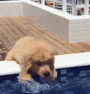 搞笑幽默段子我太难了,搞笑段子我太草率了