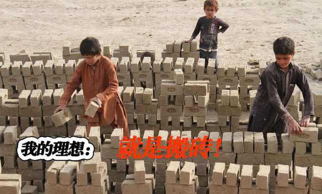 百家号小白成长记录：第一篇超越百万阅读