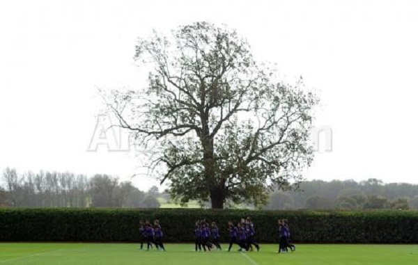 足球里有什么比较有意思的梗,足坛有哪些伪球迷著名的梗