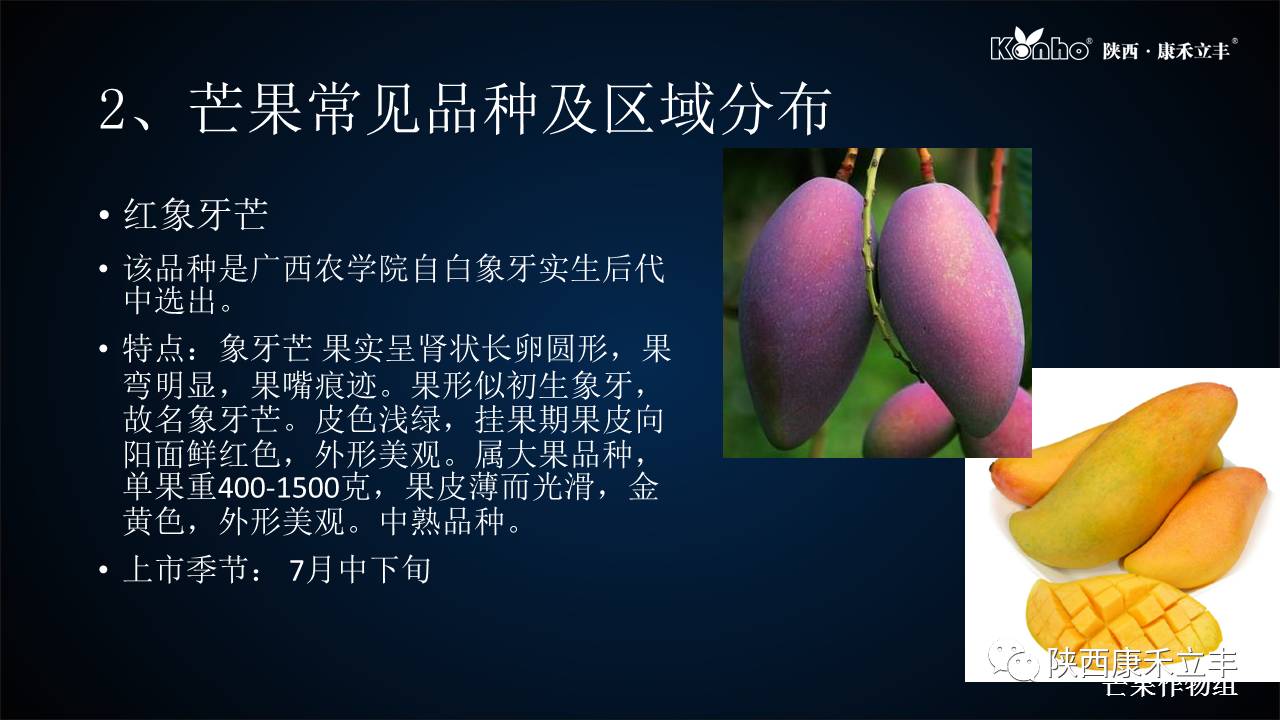 吃了不少的芒果会怎样,吃了一整个芒果会怎么样