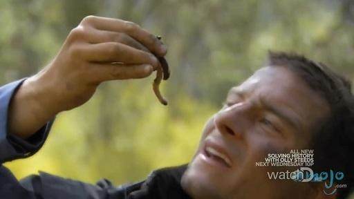 贝爷荒野求生吃恶心的东西,贝爷恶心的十大时刻