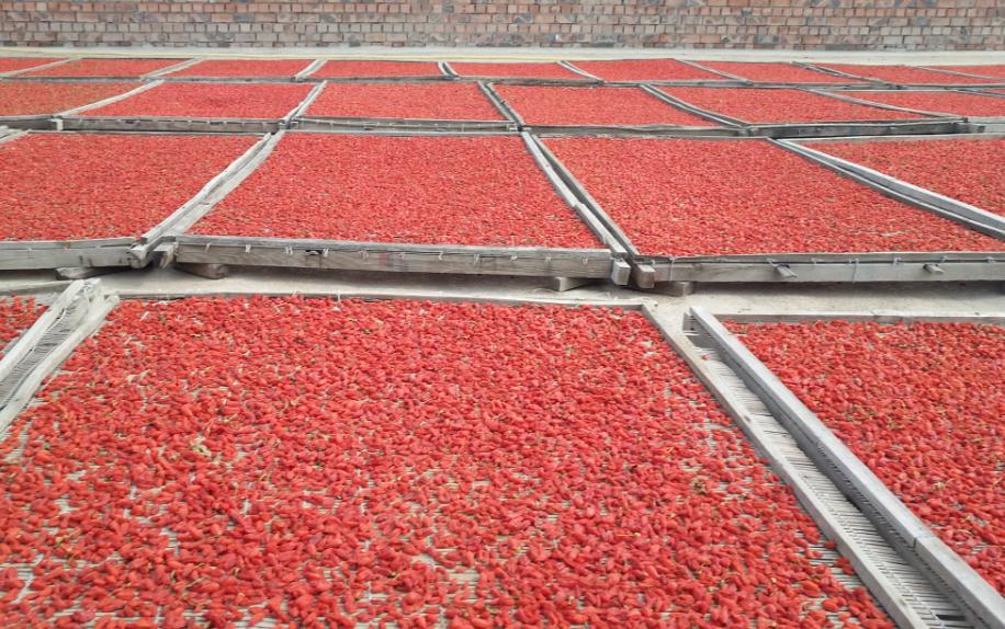 家里枸杞放潮了怎么办,家里枸杞受潮怎么烘干