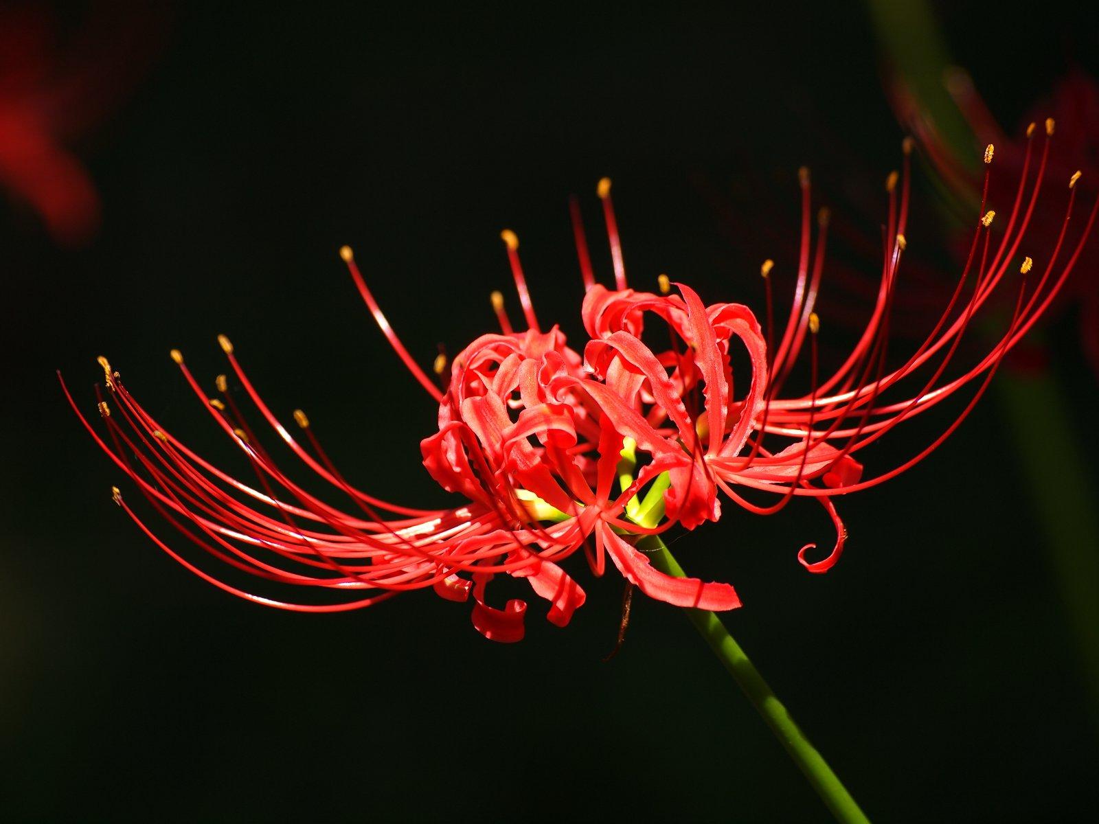 管锥编是钱钟书的著作吗,钱钟书的管锥篇讲了什么