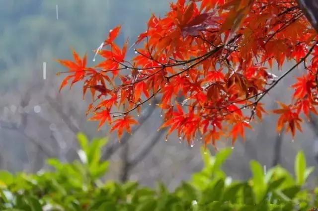 百川论道董仲舒,百川论道于谦