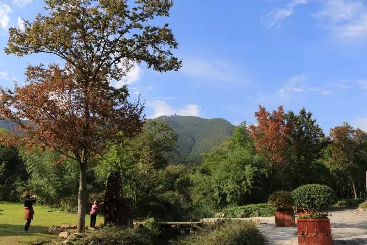 最新宜兴竹海旅游攻略分享,宜兴竹海最佳旅游季节