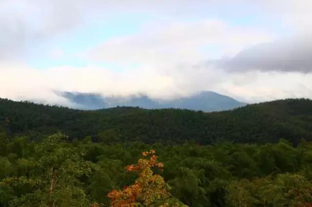 最新宜兴竹海旅游攻略分享,宜兴竹海最佳旅游季节