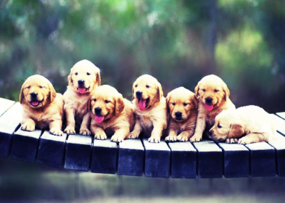 photoshop调整曲线教程,photoshop曲线技巧和修图教程