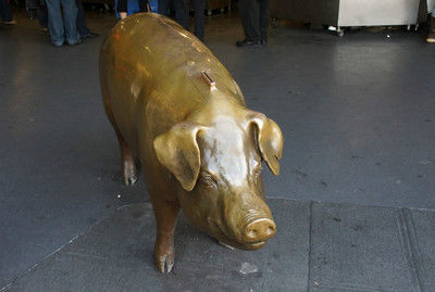 世界上最贵的猪身价竟达到100多万,养100年最贵的猪