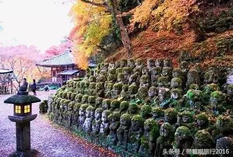 在日本最美的地方生活,在日本无拘无束做自己