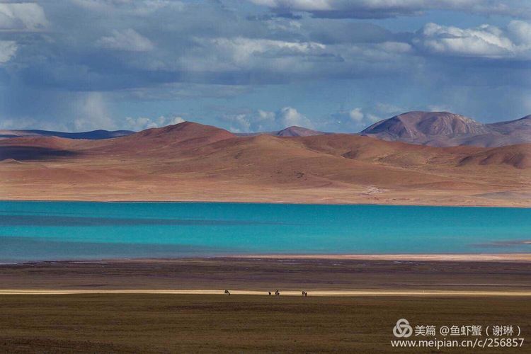 只要能去*藏西**,头痛高反什么的都不care