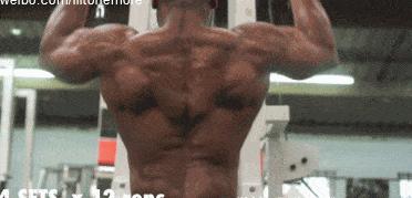 多角度全程移动背部训练：6个动作充分刺激激活背部肌群