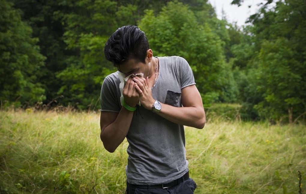 对花粉过敏有什么注意事项,花粉过敏是因为缺乏运动吗