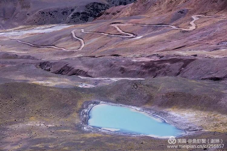 只要能去*藏西**,头痛高反什么的都不care