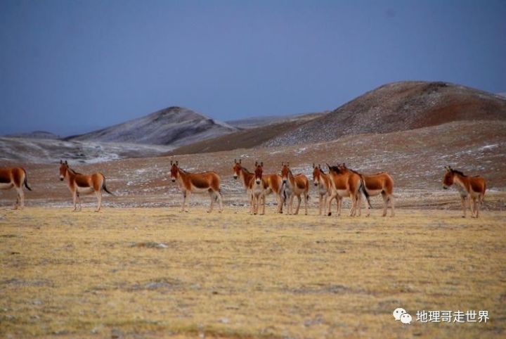 藏北高原无人区攻略,藏北无人区风景美如画
