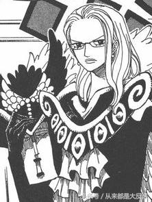 海贼王有多少人出场,海贼王一共出现了多少个人物