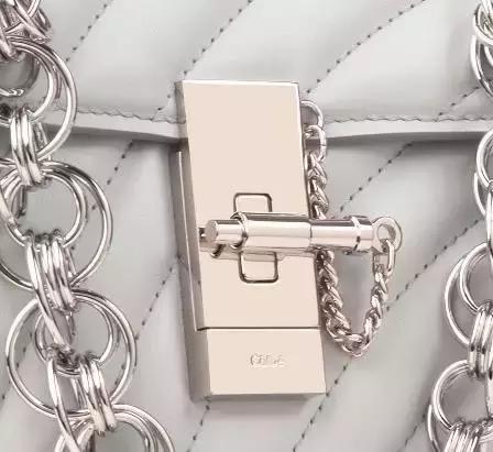 刘雯背的新款包是什么品牌,刘雯背过的一款蔻驰的包包