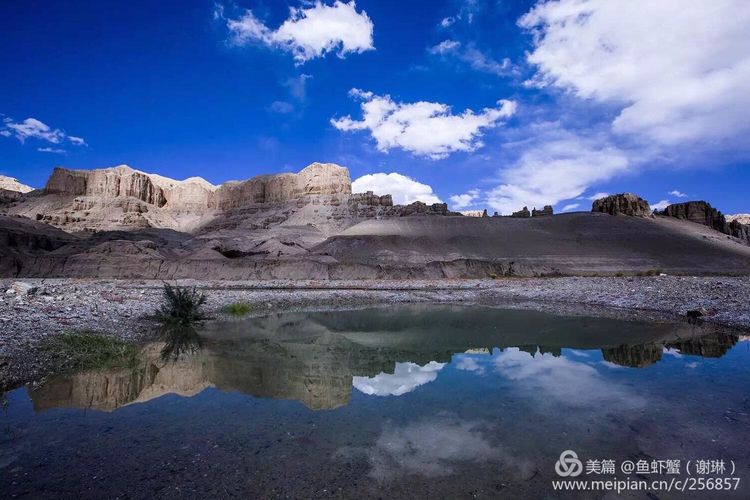 只要能去*藏西**,头痛高反什么的都不care