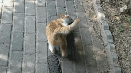 天天欢乐10则：考验情商，以下22个字你们会怎么组合？