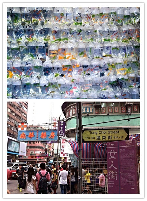 香港购物攻略最实惠,香港购物攻略买表