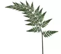 有哪些正规渠道买的东西可以放心,花更少的钱买到作用差不多的产品