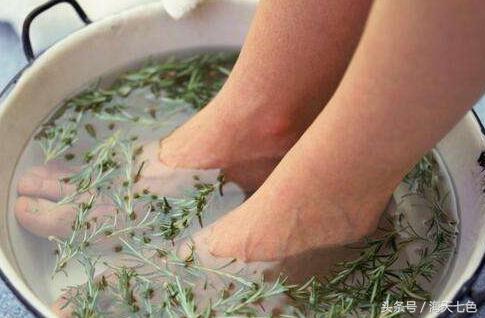 艾草怎么使用对女人有帮助,艾草对女人有什么帮助