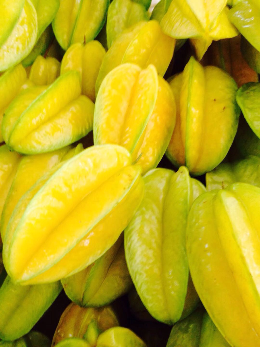 漫步云霄,漫步云霄县