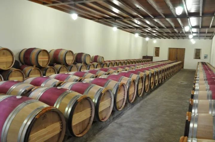 波尔多顶级葡萄酒,波尔多最贵的葡萄酒