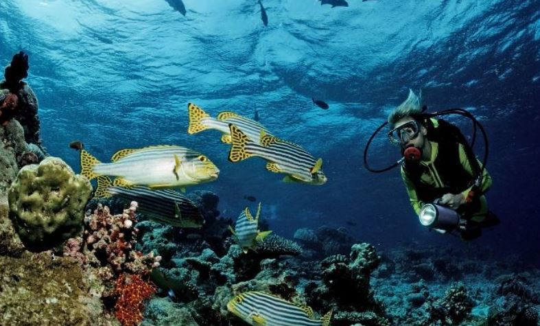 明星的马尔代夫之旅,明星去马尔代夫旅游