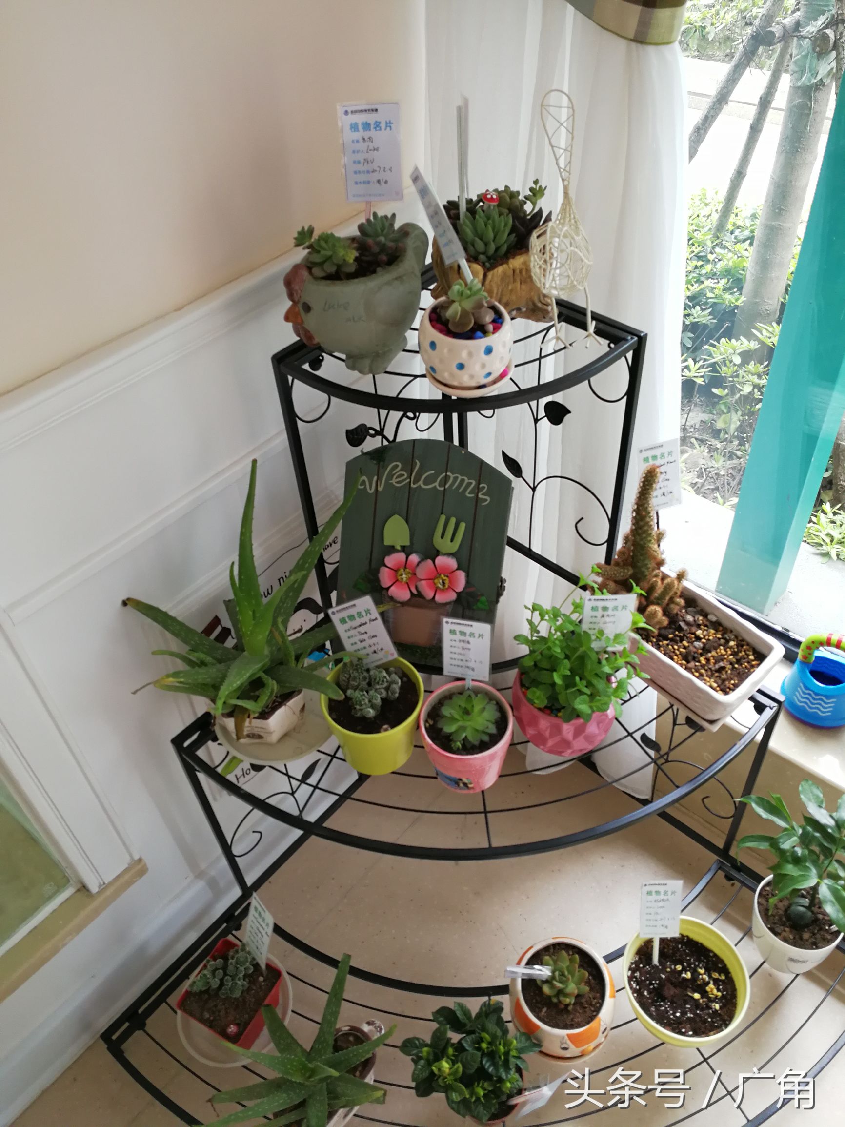 逐梦25年,马克荣呕心沥血打造遐迩闻名的晶晶艺术幼儿园