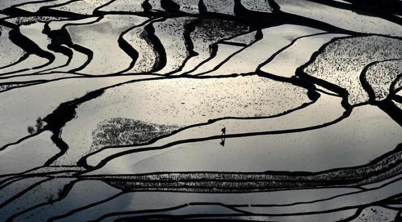 元阳哈尼梯田惊艳世界,元阳梯田哪几个景区最值得看一下