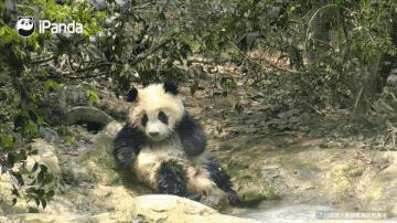 据说只要看到这双“雪地靴”，姑娘们都会挪不动脚！