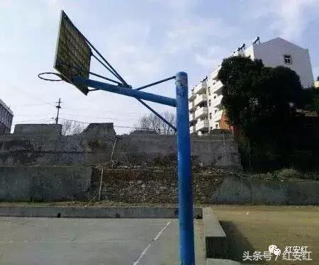 忆母校峥嵘岁月稠,忆母校风华正茂