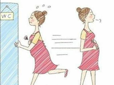 怀孕为什么总想小便,怀孕初期总想小便是怎么回事