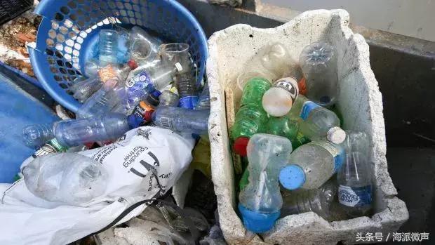 在澳大利亚捡废品赚钱吗,在澳洲捡垃圾视频