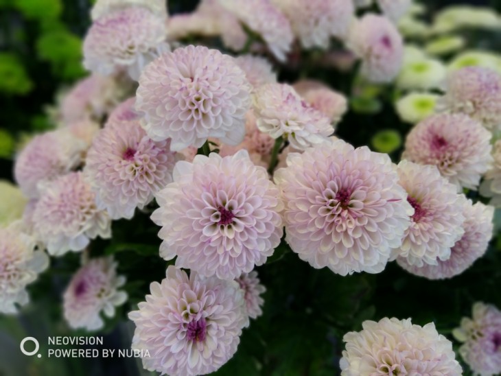 努比亚z17minis侧面照片,努比亚z17minis体验