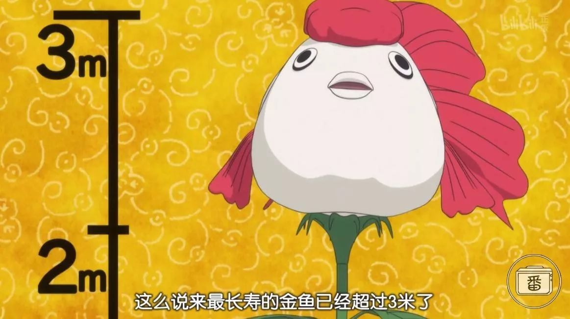 韬鍦扮嫳,韬鍦扮嫳涔嬩腑涔熻兘閫嗗ぉ鑰岃