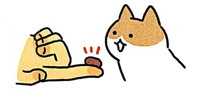 怎么照顾小奶猫最好,照顾小奶猫