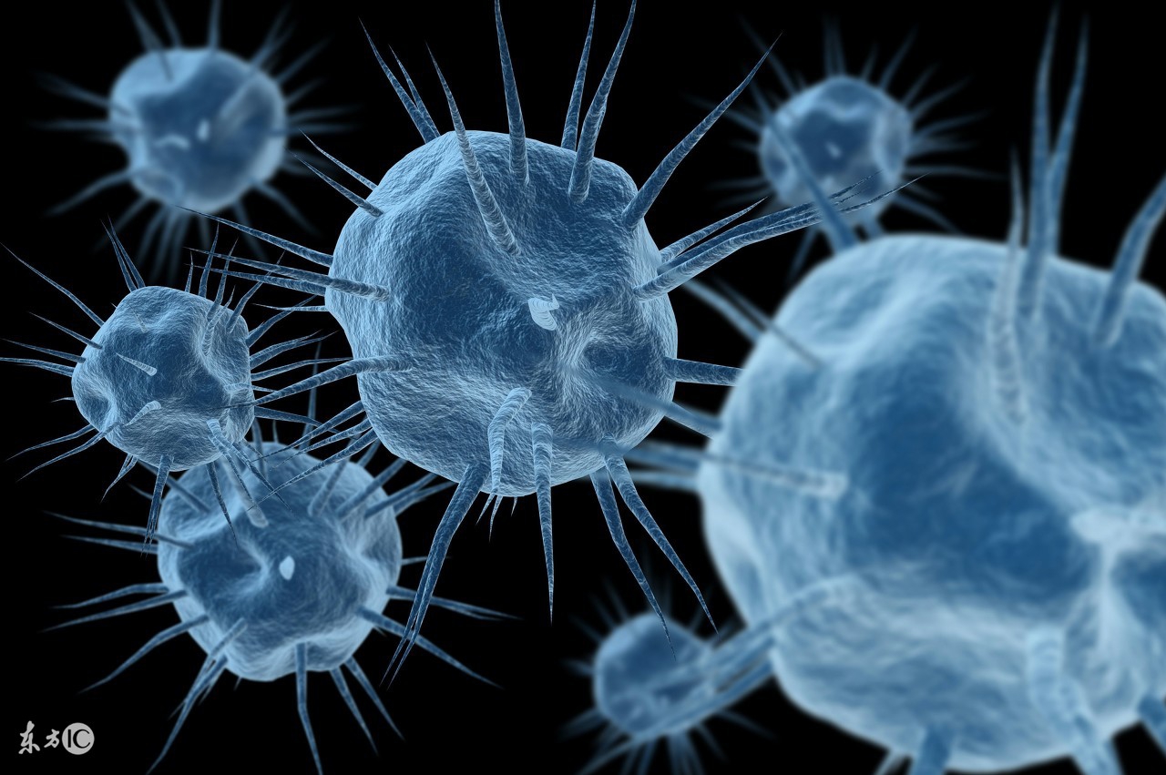 阳气不足肾阳虚可以喝黄鳝血吗,脾胃气虚肝肾阳虚阳气不足的症状